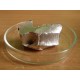 Indium